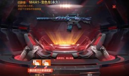 cfm体验服最新爆料,揭秘神秘英雄与全新玩法