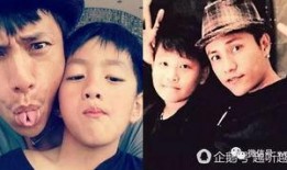 贾玲儿子爆料事件视频全集,揭秘娱乐圈背后的真相